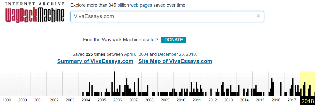 VivaEssays.com History